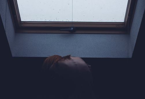 1506068_276911702433681_832739149_n